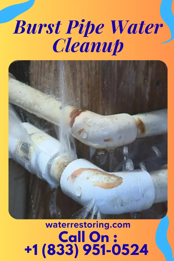 Burst Pipe Water Cleanup in South Hill, NY