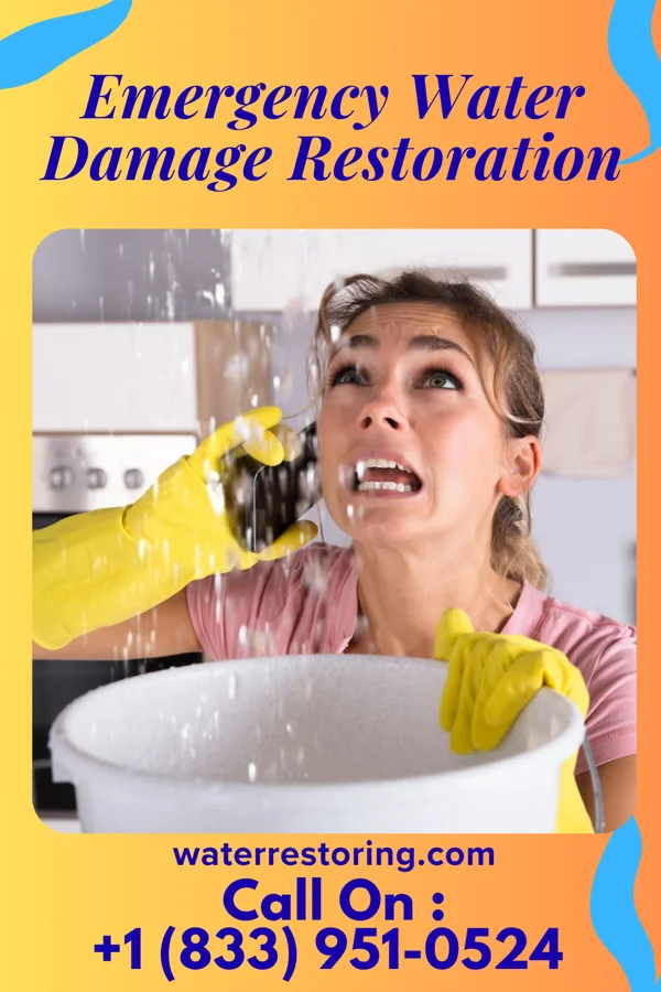 Emergency Water Damage Restoration in South Hill, NY
