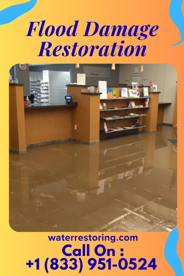 Flood Damage Restoration in South Hill, NY
