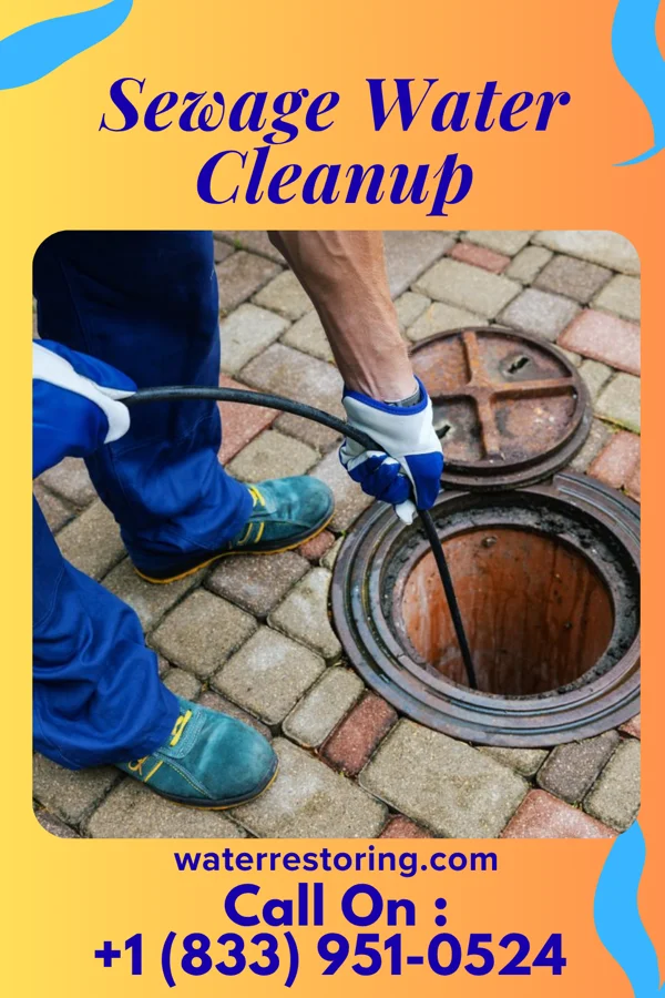 Sewage Water Cleanup in South Hill, NY